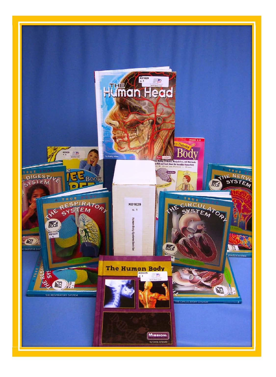 Human Body Systems Book Set