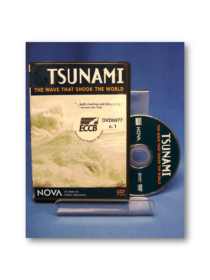 Tsunami: The Wave That Shook the World