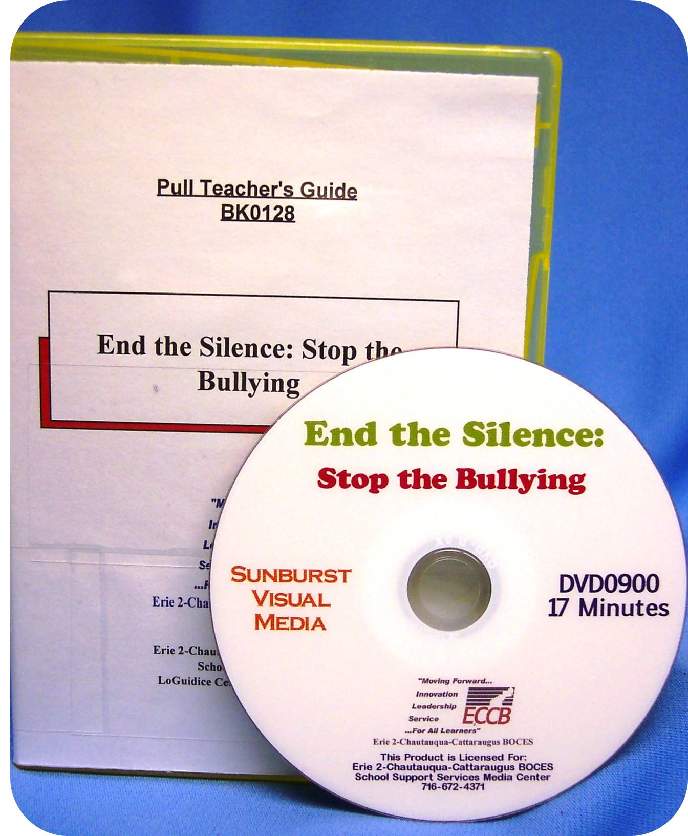 End the Silence: Stop the Bullying