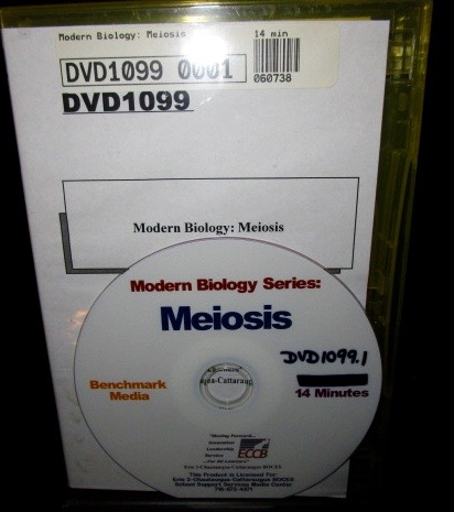 Modern Biology: Meiosis