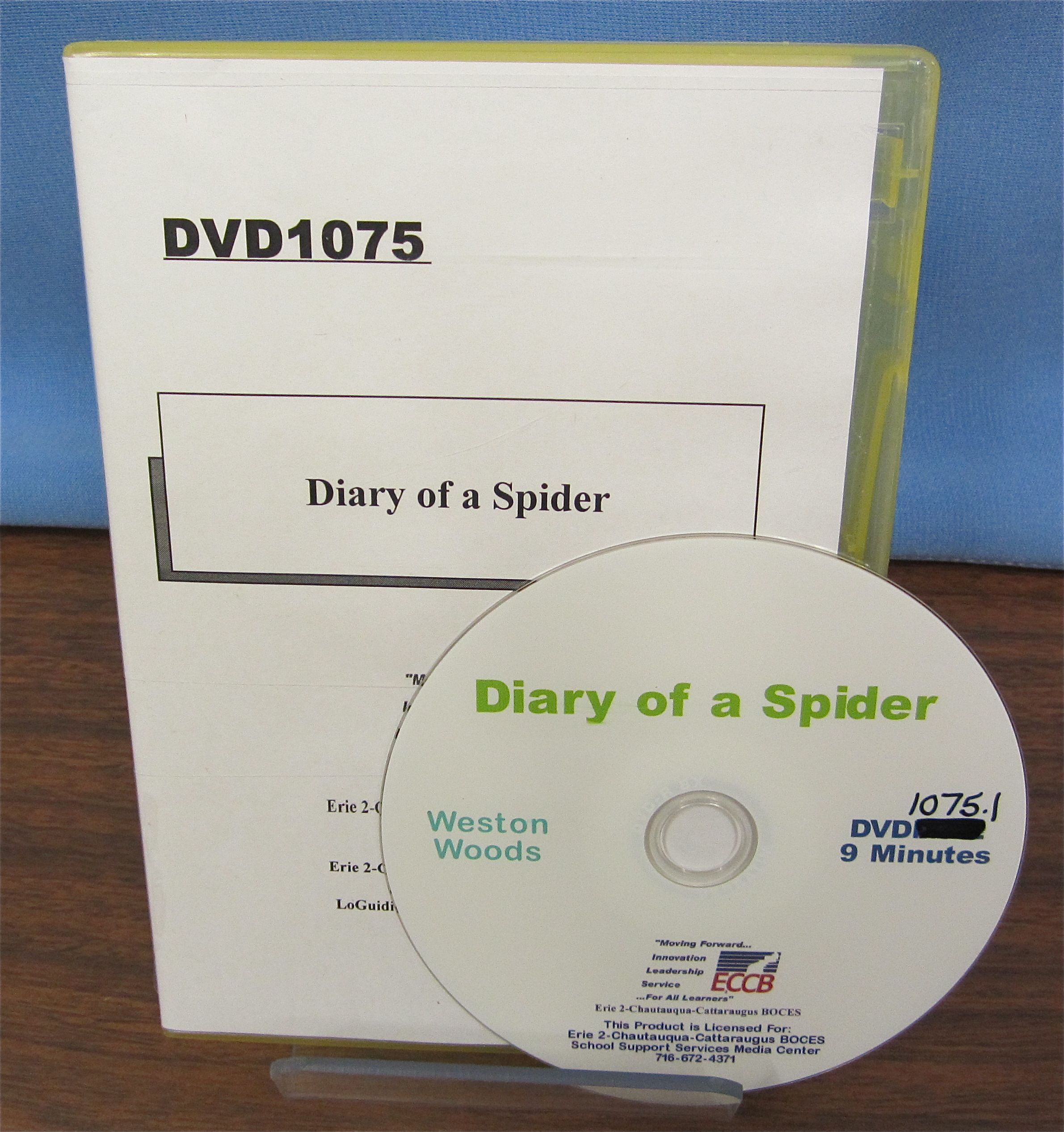 Diary of a Spider