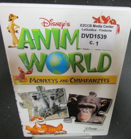 Animal World: Monkeys and Chimpanzees