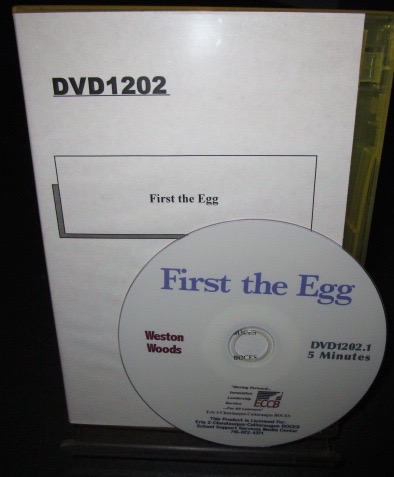 First the Egg