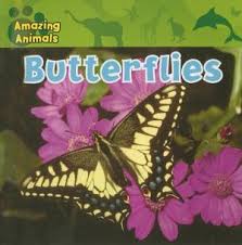 Amazing Animals: Butterflies