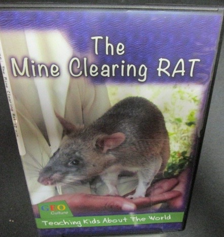 GEO Culture: The Mine Clearing Rat (Tanzania)