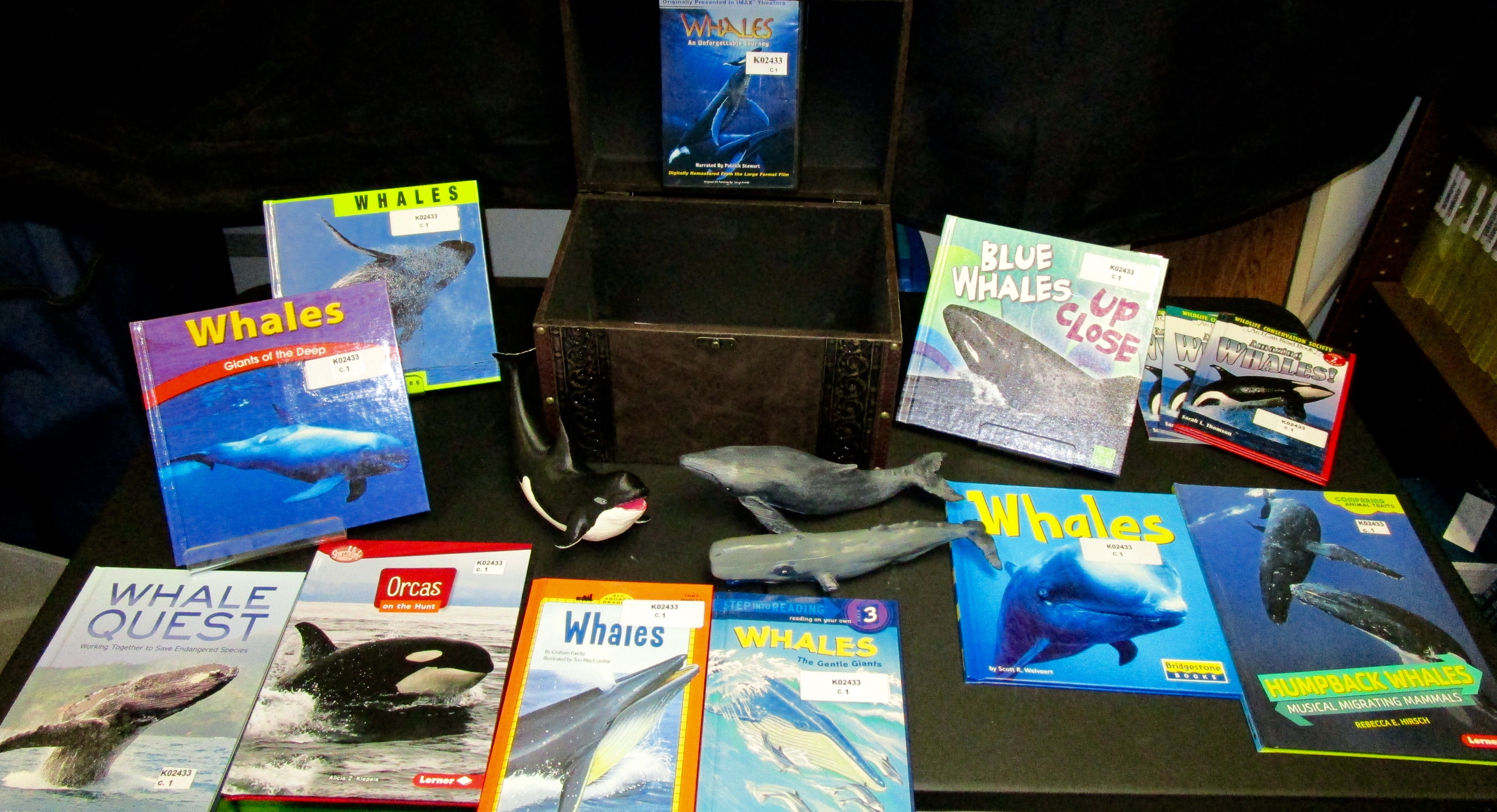 Reading Treasure: Whales 3D