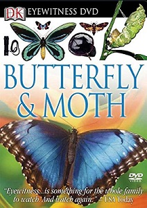 Eyewitness DVD: Butterfly & Moth