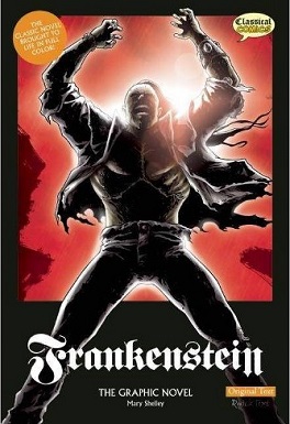 Frankenstein : The Graphic Novel