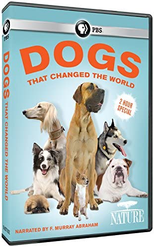 Dogs That Changed the World